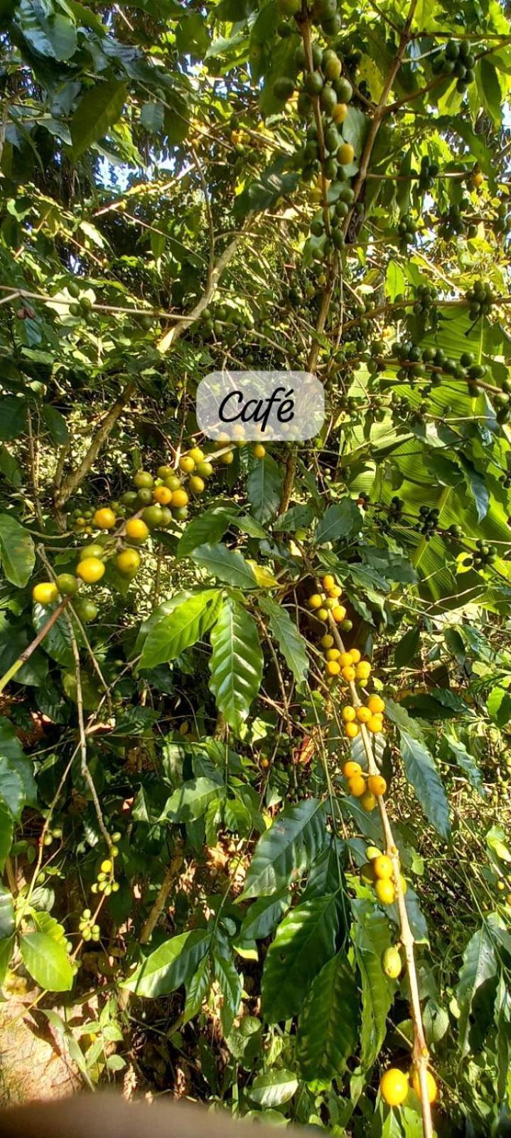 Casa Cafe - Aconchego Na Floresta - Rota Do Vinho São Roque المظهر الخارجي الصورة