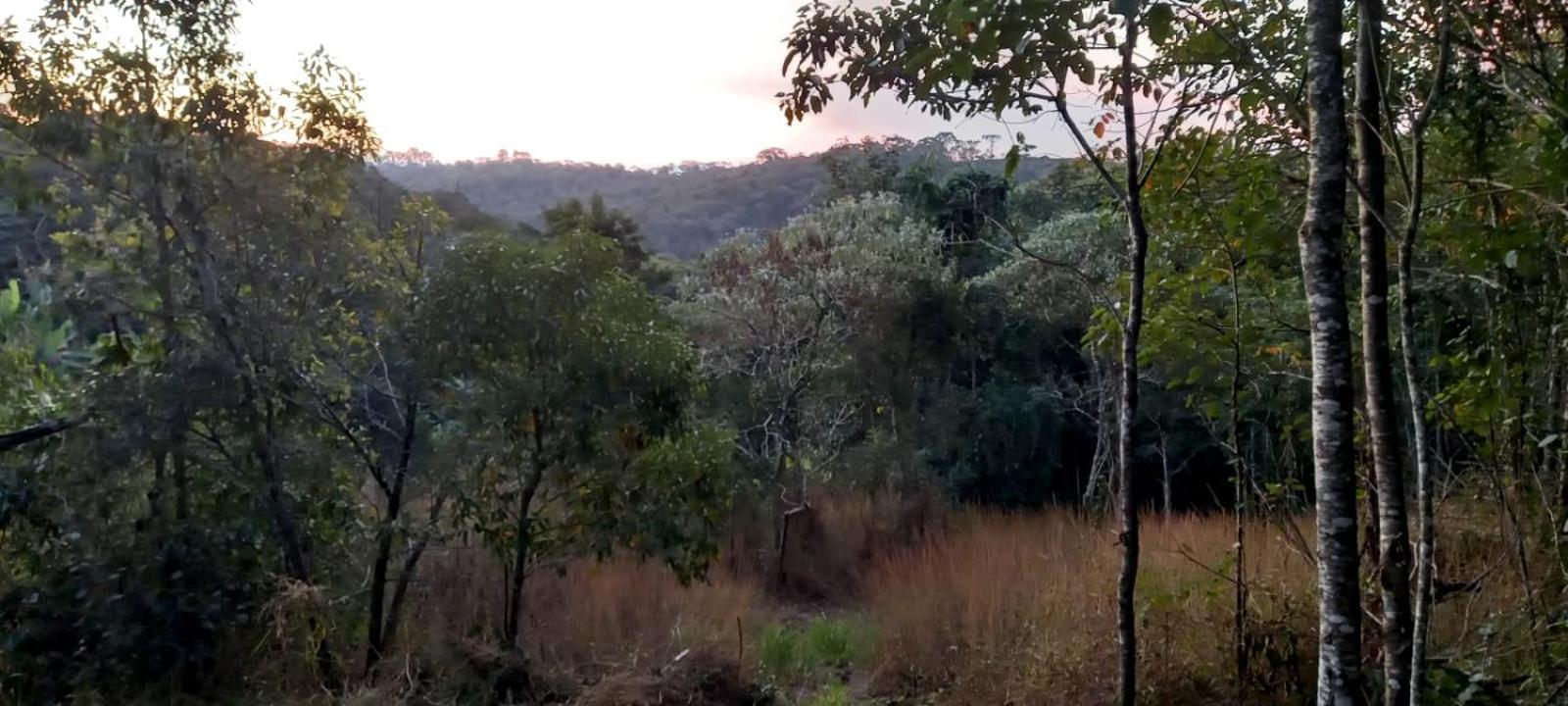 Casa Cafe - Aconchego Na Floresta - Rota Do Vinho São Roque المظهر الخارجي الصورة